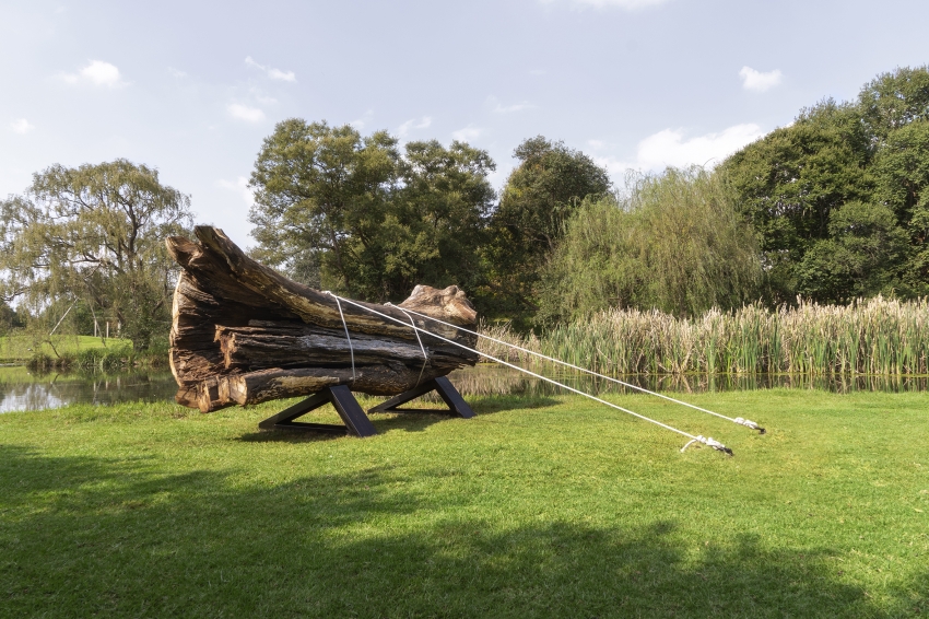 Marco Miehling - A Tree is a Big Plant with a Stick Up in the Middle (Nirox SA, 2019)