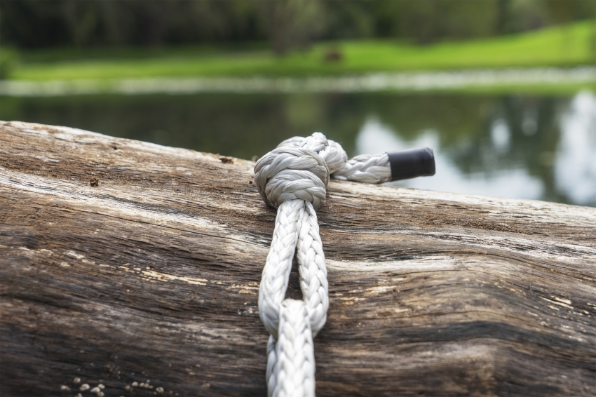 Marco Miehling - A Tree is a Big Plant with a Stick Up in the Middle (Nirox SA, 2019)