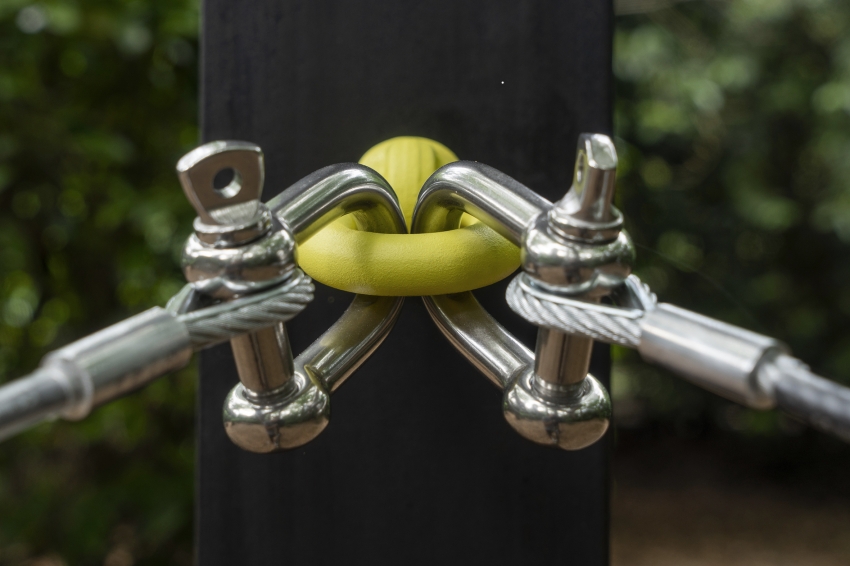 Marco Miehling - Among Her Leisure Occupations is Birdwatching