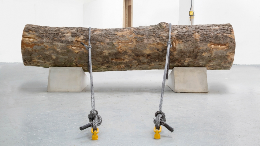Marco Miehling - A Tree is a Big Plant with a Stick Up in the Middle