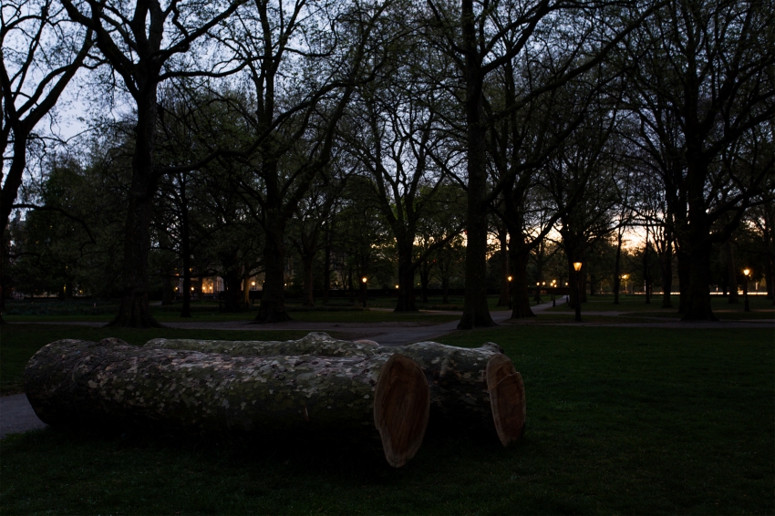 Marco Miehling - A Tree is a Big Plant with a Stick Up in the Middle