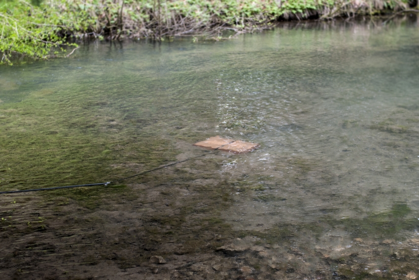 Marco Miehling - Cowley Manor Arts Award 2016